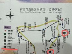 -荷兰花海