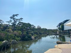 -罗红摄影艺术馆