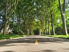 -河南省黄河迎宾馆