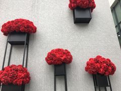 -德克士(东城店)