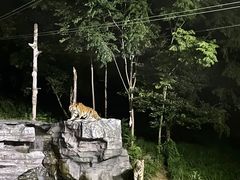 -宁波野生动物园