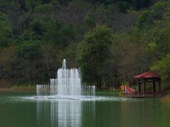 -广州白江湖森林公园