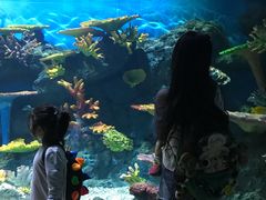 -华夏文旅海洋公园