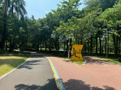 -顺峰山公园
