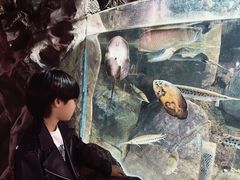 -苏州海洋馆