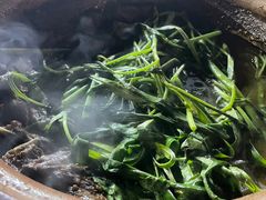 -霞姐屯昌枫木香草鸭店(海螺店)