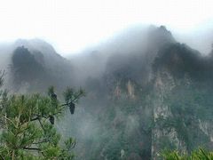 -王顺山国家森林公园