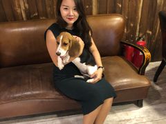 -百好乐宠物友好餐厅(朝外大街店)