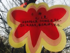 -香雪海