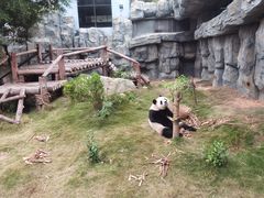 -泉州海丝野生动物世界