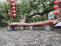 -新安江山水画廊风景区
