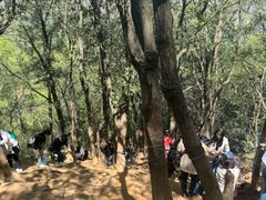 -灵岩山风景区