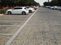 -西青郊野公园