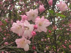 -苏州上方山国家森林公园