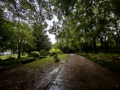 -上海共青森林公园