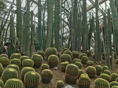 -南山植物园