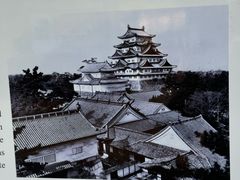 -名古屋城