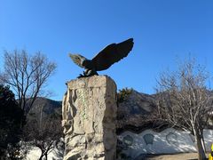 -北京鹫峰国家森林公园