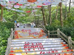 -广州市帽峰山景区