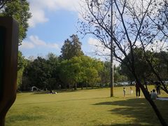 -上海滨江森林公园