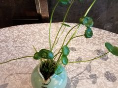 -玄武苏宁诺富特酒店·紫金轩中餐厅