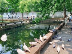 -西园戒幢律寺
