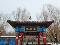-莲花池公园