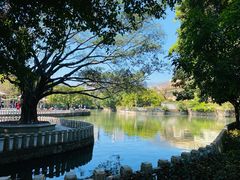 -荔枝公园(福田区)
