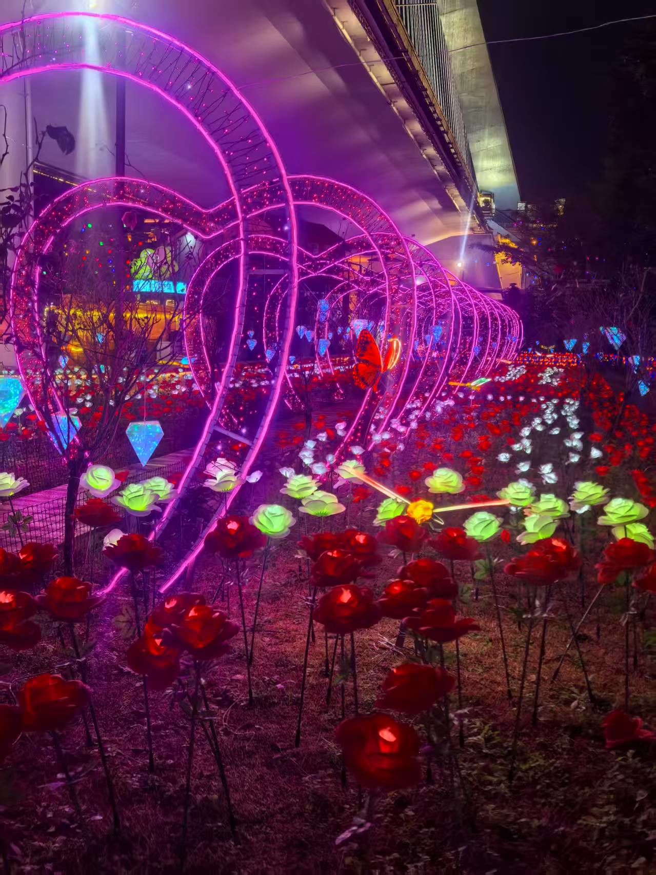 江心公园万灯之夜
六大主题灯展好出片