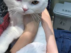 -PETKIT 小佩宠物·低压洗护·美容·寄养(安远店)