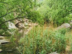 -碓臼峪自然风景区