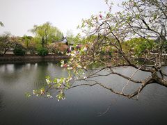 -无锡蠡湖国家湿地公园-蠡园