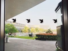 -东方美谷JW万豪酒店·The lounge大堂吧
