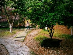 android_upload_pic-穹窿山景区