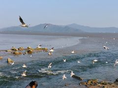 -深圳湾公园(南山区)