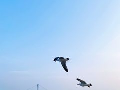 -大连星海广场音乐喷泉