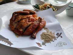 脆皮鸡-云中小雅