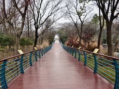 -上海吴淞炮台湾国家湿地公园