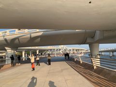 -演武大桥观景平台