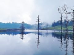 -瓦屋山景区