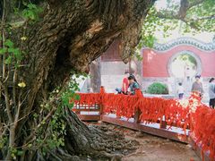 -浮来山风景区