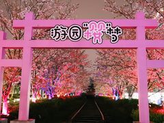 -新天地活力PARK