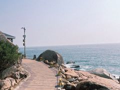 -广东惠东海龟国家级自然保护区