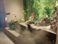 -国人川菜(李家村建东街店)