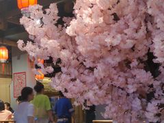 -印象鲵宴·张家界地标美食名片(溪布街店)