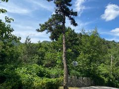 -木兰云雾山