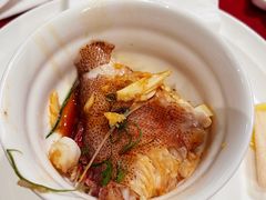 东星斑-香蜜轩·粤菜·宴会(世界之窗店)