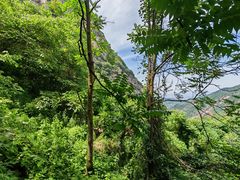 -秦岭终南山世界地质公园翠华山景区
