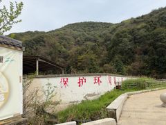 -午潮山国家森林公园