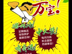 师父！为蜀么加入万宝？-创凡宠物医院·骨专科  猫科中心(西乡分院)